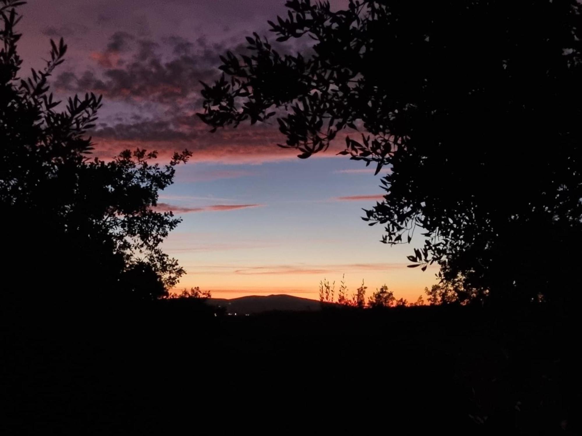 Dimora Nel Chianti Guest House San Sano Екстериор снимка