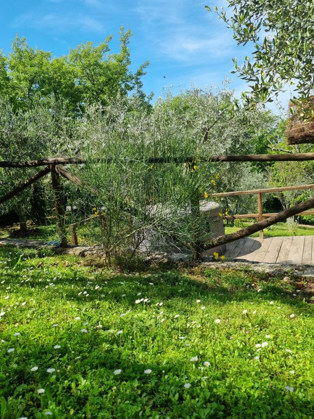 Dimora Nel Chianti Guest House San Sano Екстериор снимка